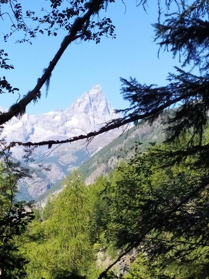 Chez Tonton Wi-Fi Villa Aosta Exteriör bild